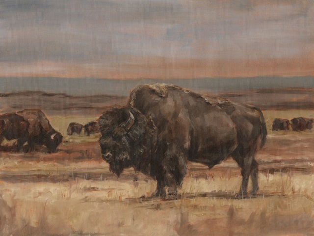 American Buffalo on the Plains II