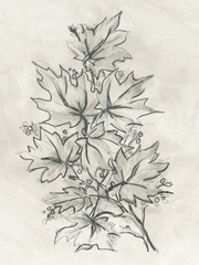 Vintage Lodge Leaves I