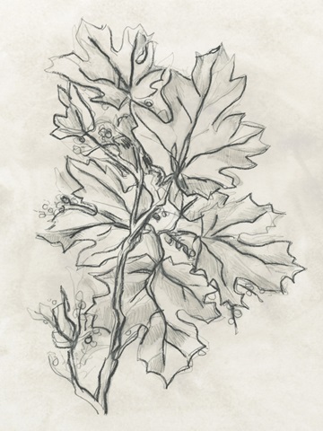 Vintage Lodge Leaves II