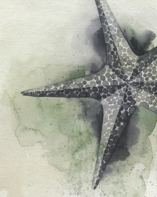Found Starfish II