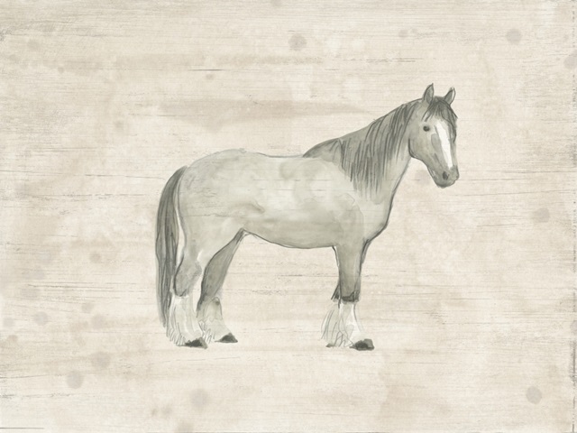 Antique Equine Sketch I