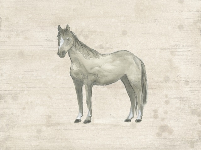 Antique Equine Sketch II