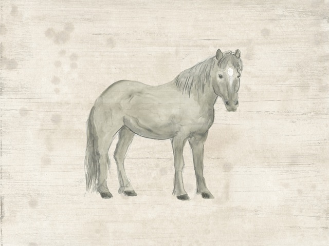 Antique Equine Sketch III