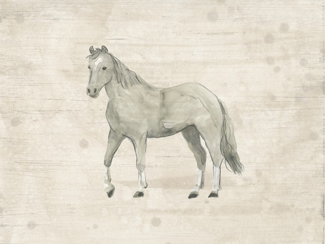 Antique Equine Sketch IV