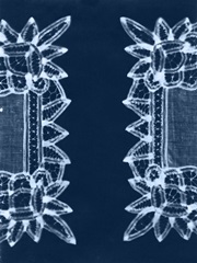 Cyanotype Artifact II