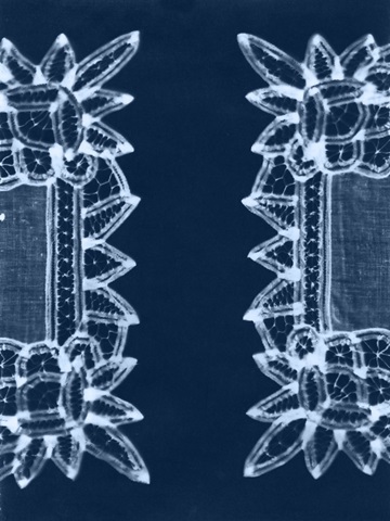 Cyanotype Artifact II
