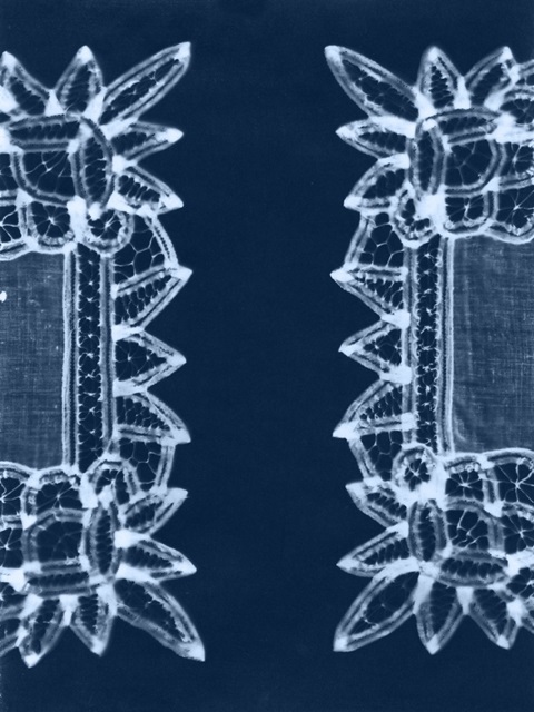 Cyanotype Artifact II