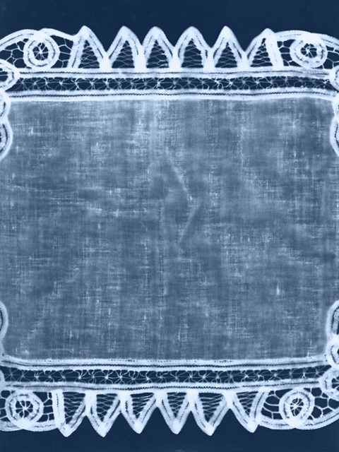 Cyanotype Artifact III