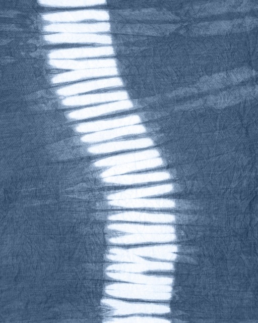 Cyanotype Abstract I