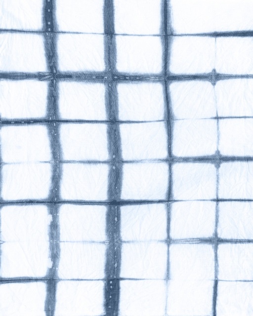 Cyanotype Abstract II