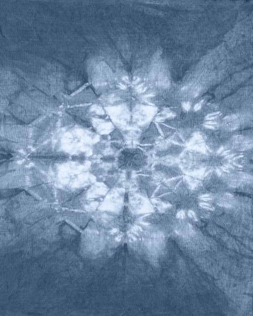 Cyanotype Abstract IV