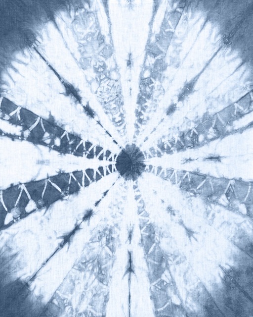Cyanotype Abstract V
