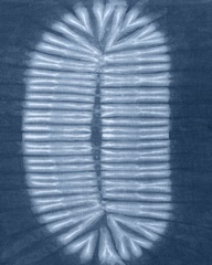 Cyanotype Abstract VI