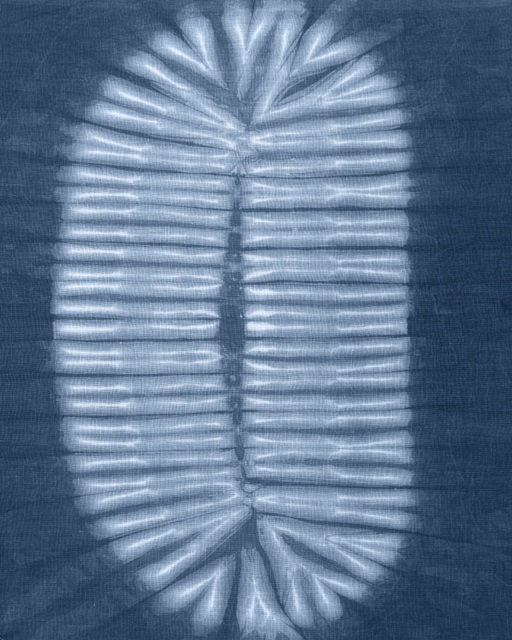 Cyanotype Abstract VI
