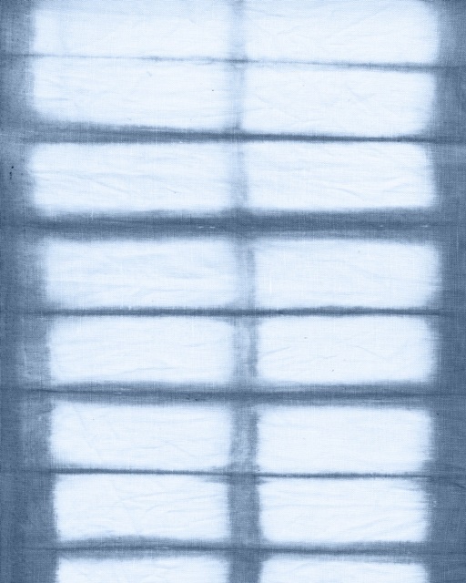 Cyanotype Abstract VII