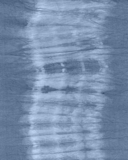 Cyanotype Abstract IX