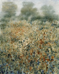 Misty Early Morning  II