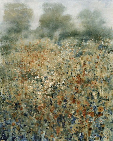 Misty Early Morning  II