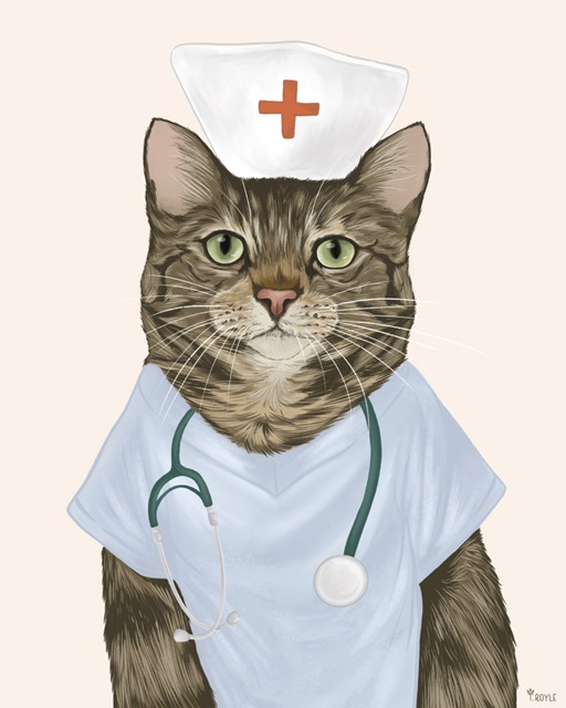 Nurse Cat