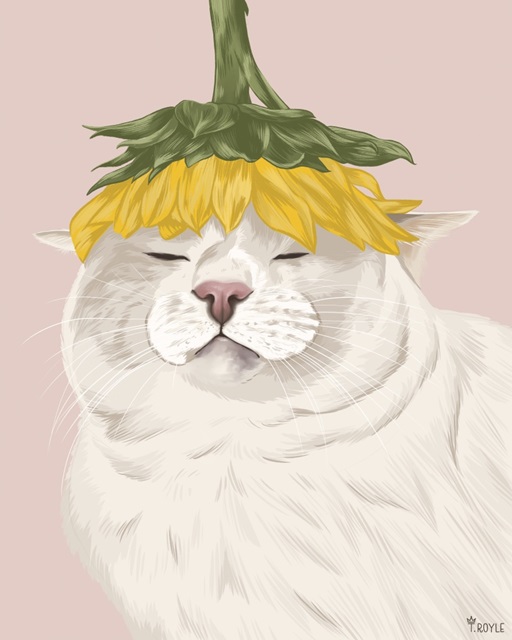 Sunflower Cat