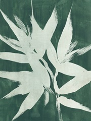 Water Palm Fossil III