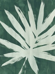 Water Palm Fossil IV