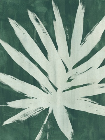 Water Palm Fossil IV