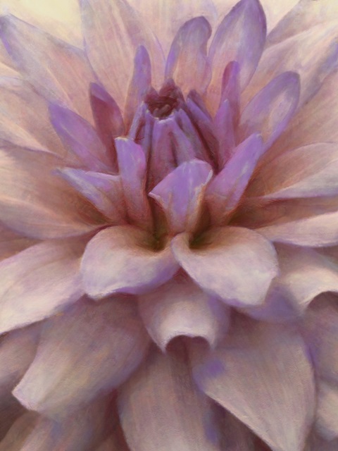 Soft Flower Petals II