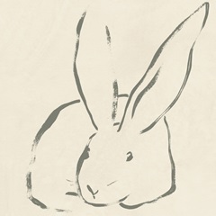 Linear Rabbit I