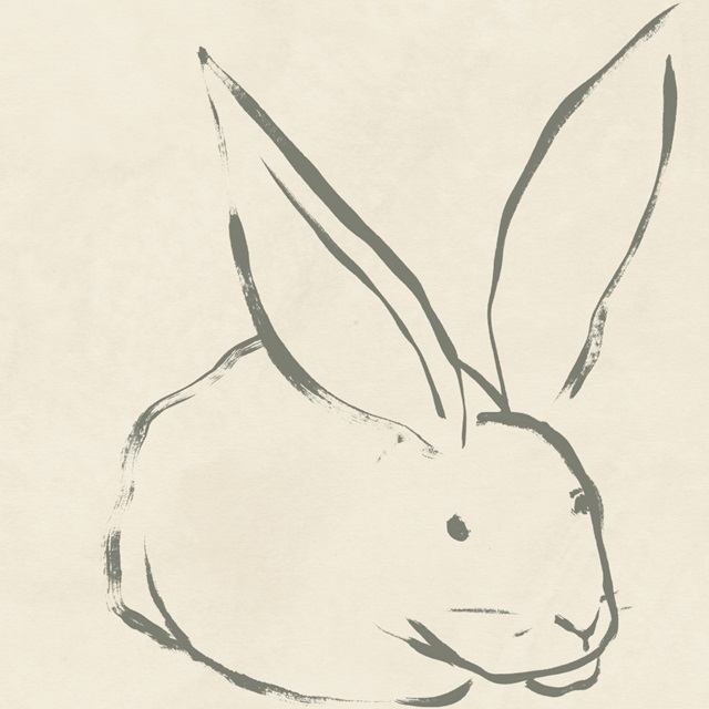 Linear Rabbit II