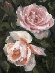 Peachy Roses II