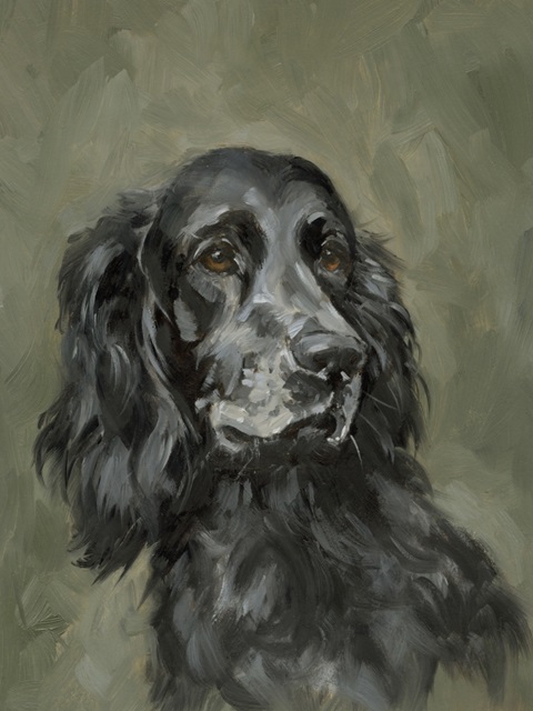 Sweet Setter Portrait I