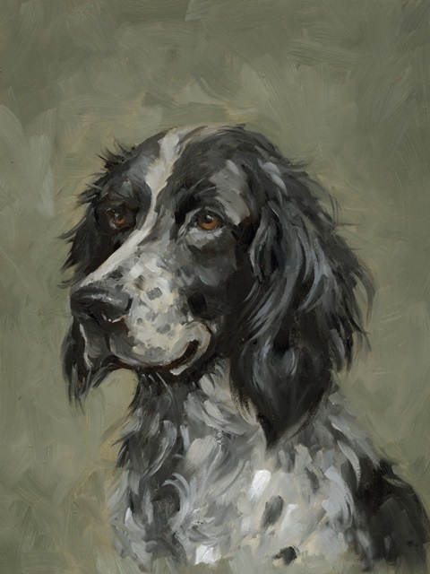 Sweet Setter Portrait II