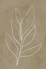 Leaf Line Art II
