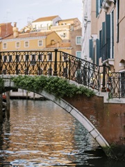 Venice II
