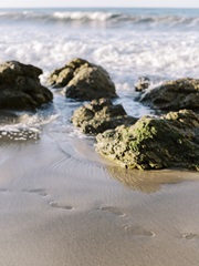 Beach Footprints II
