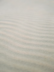 Sand Ripples