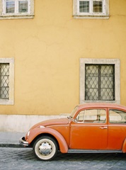 Orange Bug