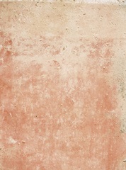 Pink Texture