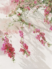 Vines In Pink