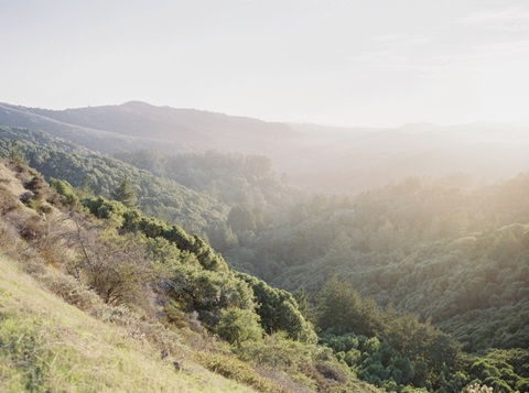 Sunset In The Hills