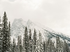 Winter In The Mountains