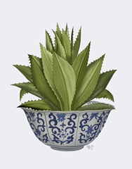 Chinoiserie Bowl with Succulent 1