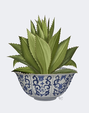 Chinoiserie Bowl with Succulent 1