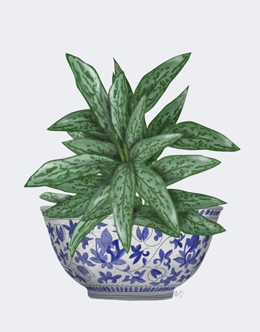 Blue Chinoiserie Bowl with Chinese Evergreen