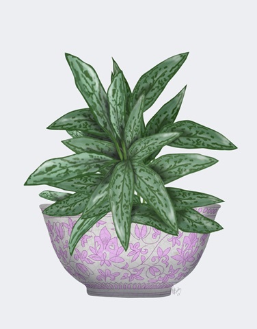 Pink Chinoiserie Bowl with Chinese Evergreen