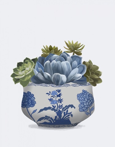 Echeveria in Blue 4