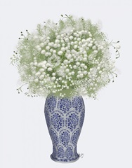 Gypsophelia Bouquet in Vase, Full