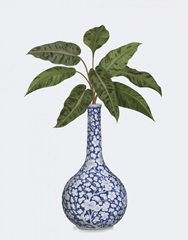 Bud Vase and Plant