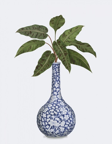 Bud Vase and Plant